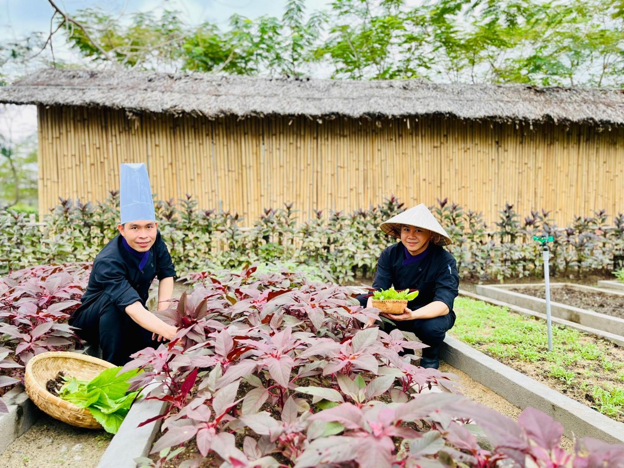 Ttc Van Phong Bay Resort - Himalaya Sauna & Steam Retreat Included Ninh Hoa 외부 사진